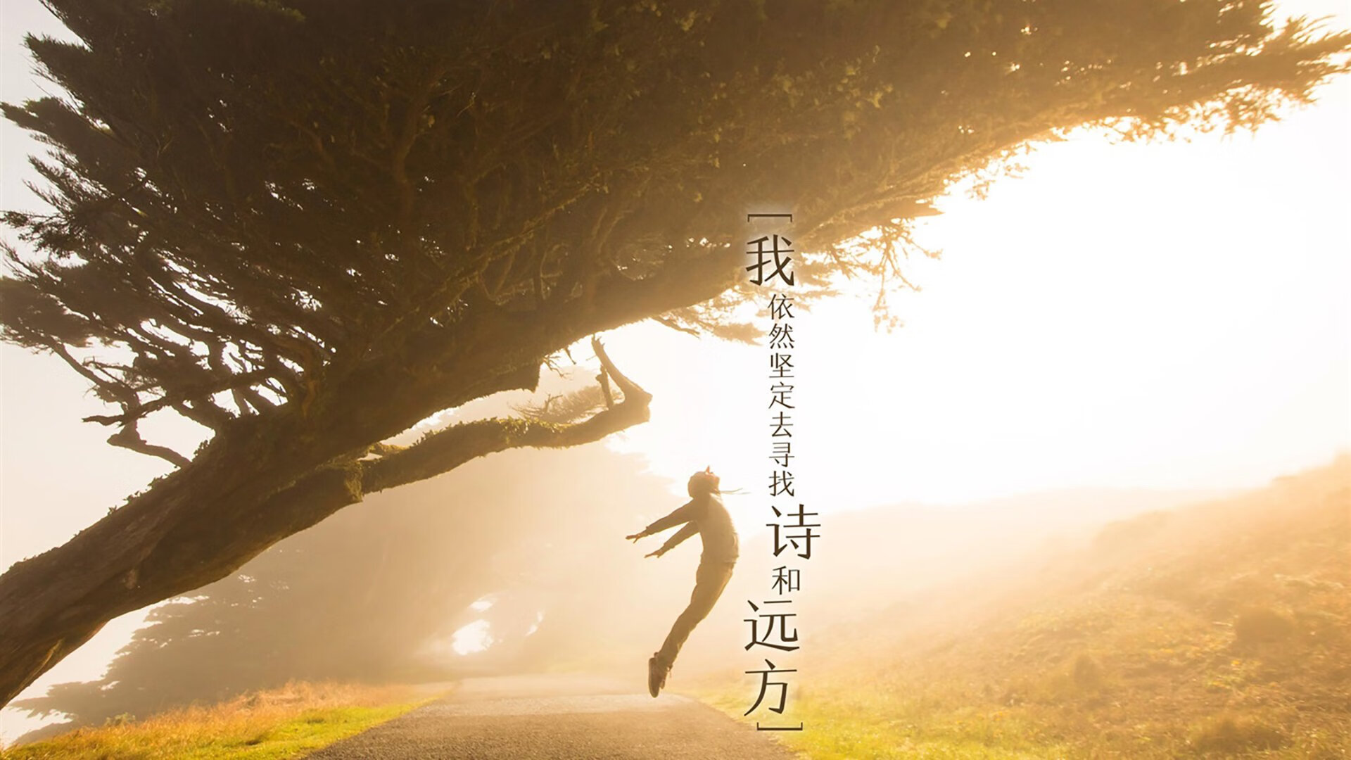 中超联赛山东泰山三连胜，2021中超山东泰山阵容