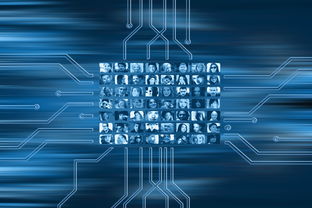 九游下载安装-NBA联盟市场营销策略的数字化转型，nba营销策略分析论文